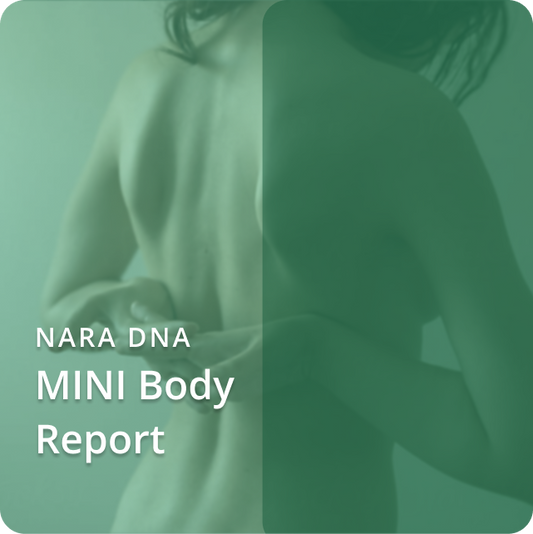 Mini Body Report