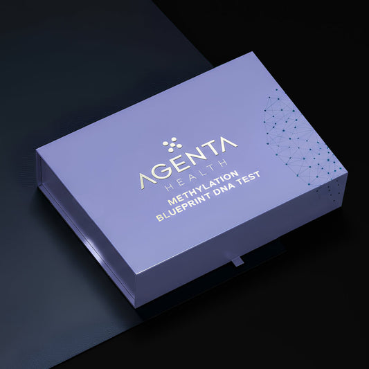 METHYLATION BLUEPRINT DNA KIT